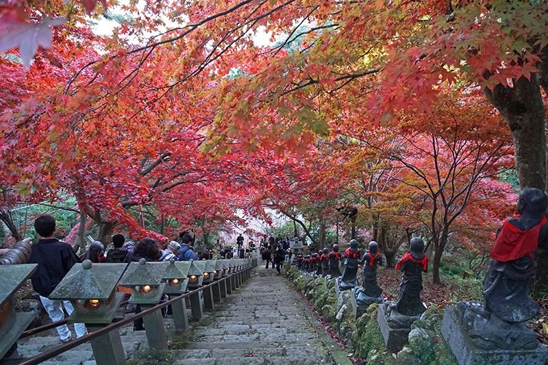 🏯 아메후리 산 오야마 절 (아메후리야마 오야마데라)